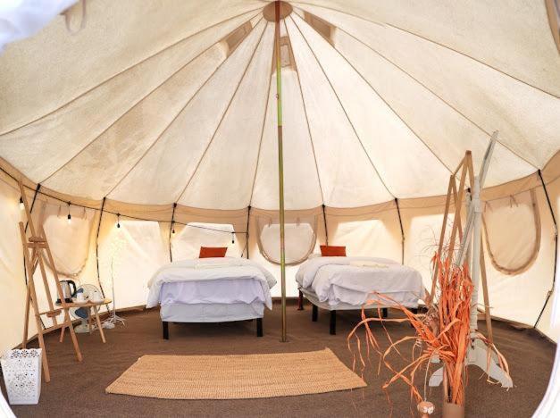 Safari Desert Camp Shāhiq Exteriör bild