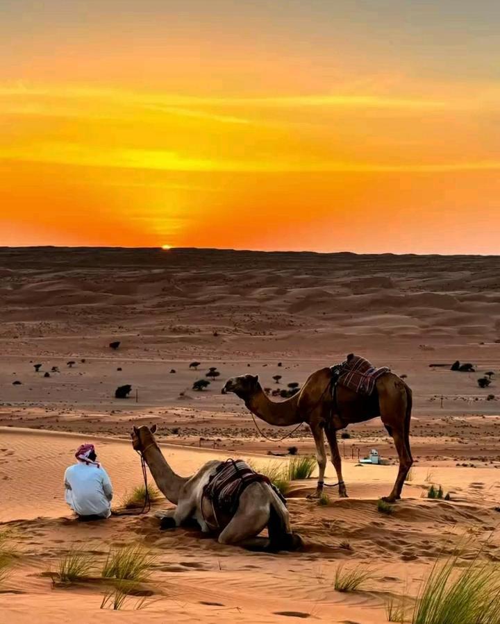 Safari Desert Camp Shāhiq Exteriör bild